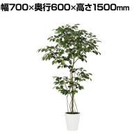 観葉植物 人工樹木 フェイクグリーン 造花 ベンジャミン FST 高さ1500mm 鉢:SA-8(WH)
