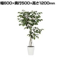 観葉植物 人工樹木 フェイクグリーン 造花 ベンジャミン FST 高さ1200mm 鉢:SA-7(WH)