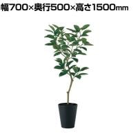 観葉植物 人工樹木 フェイクグリーン 造花 デコラゴム FST 高さ1500mm 鉢:SA-10(BK)