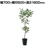 観葉植物 人工樹木 フェイクグリーン 造花 デコラトリカラー FST 高さ1800mm 鉢:SA-10(BK)