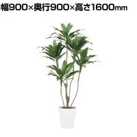 観葉植物 人工樹木 フェイクグリーン 造花 コルディリネ 高さ1600mm 鉢:SA-10(WH)