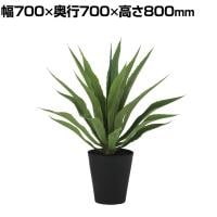 観葉植物 人工樹木 フェイクグリーン 造花 アガベ・アメリカーナ 高さ800mm 鉢:SA-8(BK)