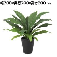 観葉植物 人工樹木 フェイクグリーン 造花 オオタニワタリ 高さ500mm 鉢:SA-6(BK) 卓上