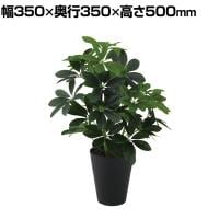 観葉植物 人工樹木 フェイクグリーン 造花 グリーンカポック Mサイズ 高さ500mm 鉢:SA-5(BK) 卓上