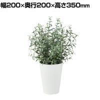 観葉植物 人工樹木 フェイクグリーン 造花 ティーリーフ 高さ350mm 鉢:SA-4(WH) 卓上