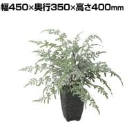 観葉植物 人工樹木 フェイクグリーン 造花 プテリス 高さ400mm 鉢:Pスクエア(BK) 卓上
