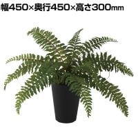 観葉植物 人工樹木 フェイクグリーン 造花 ボストンファン 高さ300mm 鉢:SA-4(BK) 卓上