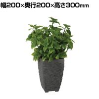 観葉植物 人工樹木 フェイクグリーン 造花 ミント 高さ300mm 鉢:Pスクエア(BK) 卓上