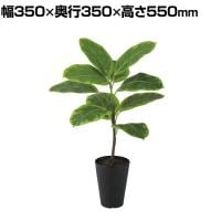 観葉植物 人工樹木 フェイクグリーン 造花 アルテシマ ルーツポット 高さ550mm 鉢:SA-4(BK) 卓上