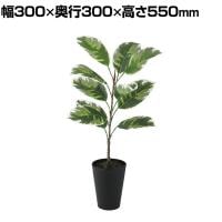観葉植物 人工樹木 フェイクグリーン 造花 デコラトリカラー ルーツポット 高さ550mm 鉢:SA-4(BK) 卓上