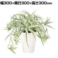 観葉植物 人工樹木 フェイクグリーン 造花 オリヅルラン W/G 高さ300mm 鉢:SA-4(WH) 卓上