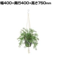 観葉植物 人工樹木 フェイクグリーン 造花 スプレンゲリー 鉢:HP-15 (DG) ハンギング植栽 ハンギングポット 吊り下げポット 高さ750mm