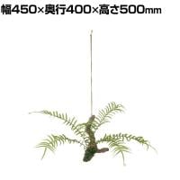観葉植物 人工樹木 フェイクグリーン 造花 ヒリュウシダ ハンギングアレンジ 高さ500mm