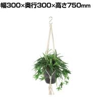 観葉植物 人工樹木 フェイクグリーン 造花 オリヅルラン G 鉢:HP-15 (DG) ハンギング植栽 ハンギングポット 吊り下げポット 高さ750mm