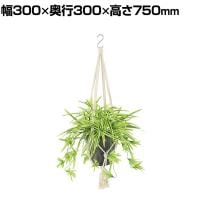 観葉植物 人工樹木 フェイクグリーン 造花 オリヅルラン G/Y 鉢:HP-15 (DG) ハンギング植栽 ハンギングポット 吊り下げポット 高さ750mm
