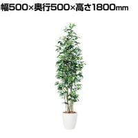 観葉植物 人工樹木 フェイクグリーン 造花 ベンジャミン スリム FST 高さ1800mm 鉢:RP-265