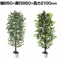 観葉植物 人工樹木 フェイクグリーン インテリアグリーン 造花 ベンジャミン 高さ2100mm