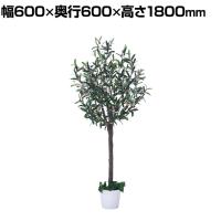 観葉植物 人工樹木 フェイクグリーン インテリアグリーン 造花 オリーブ 高さ1800mm