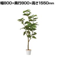 観葉植物 人工樹木 フェイクグリーン インテリアグリーン 造花 フィカスウンベラータ 高さ1550mm