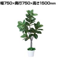 観葉植物 人工樹木 フェイクグリーン インテリアグリーン 造花 ゴムの木 高さ1500mm