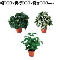 【3種セット】グリーンプッシュポット 観葉植物 人工樹木 フェイクグリーン インテリアグリーン 造花 幅360×奥行360×高さ380mm