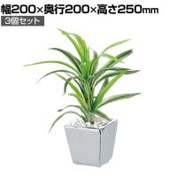 【3個セット】卓上グリーンポット 観葉植物 人工樹木 フェイクグリーン インテリアグリーン 造花 ドラセナ・サンテリアーナ 幅200×奥行200×高さ250mm