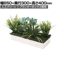 [オプション]プランターボックス専用植栽 フェイクグリーン 観葉植物 幅650×奥行300×高さ400mm