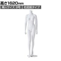 婦人リアルマネキン 右足前 9号 頭部なし 女性 業務用 店頭用 店舗什器 陳列什器 アパレル