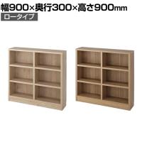 バリュテック・インターナショナル 頑丈本棚シリーズ ロータイプ 組み立て式90 幅900×奥行300×高さ900mm
