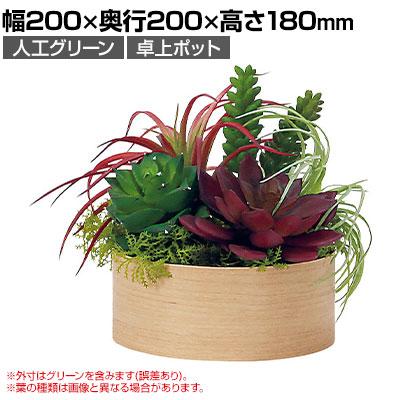 フェイクグリーン　卓上ポット　① プランター　ポトス　ベルク　店舗什器　造花 送料無料】 ベルク フェイクグリーン インテリアグリーン 卓上