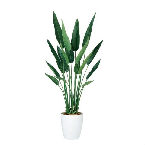 観葉植物 人工 樹木 ストレリチア レギネ 高さ1400mm Mサイズ 鉢 Rp 265の通販 送料無料 オフィスコム
