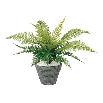 送料無料】 観葉植物 人工 樹木 レザーファン 高さ350mm Pサイズ 鉢:P