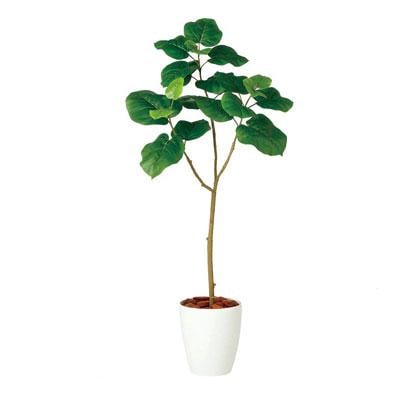 観葉植物 人工 樹木 ウンベラータ Fst 高さ10mm Sサイズ 鉢 Rp 225の通販 送料無料 オフィスコム