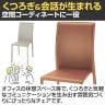 【4脚セット】ブライト スタッキングチェア ミーティングチェア 幅420×奥行515×高さ880mm-8