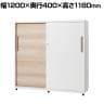 Work Plus 引違い収納庫 3段 FW CABINET 3 TIER幅1200×奥行D400×高さ1180mm