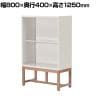 アスプルンド FLEX-WIZ STORAGE オープンシェルフ 収納棚 キャビネット 本棚 オフィス収納 スチール 脚付き 木脚 WH 幅800×奥行400×高さ1250mm WorkPlus