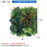 ベルク フェイクグリーン ウォールグリーン マグネットグリーン マットパネルタイプ25角 人工 造花 GR-1244 幅320×奥行130×高さ320mm-11
