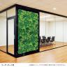 ベルク フェイクグリーン ウォールグリーン マグネットグリーン マットパネルタイプ50角 人工 造花 GR1248 幅560×奥行150×高さ600mm-2