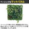 ベルク フェイクグリーン ウォールグリーン マグネットグリーン マットパネルタイプ50角 人工 造花 GR1248 幅560×奥行150×高さ600mm-5