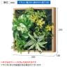 ベルク フェイクグリーン ウォールグリーン マグネットグリーン 木枠フレームタイプ 25角 人工 造花 GR1253 幅270×奥行130×高さ270mm-10