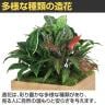 ベルク フェイクグリーン グリーンスタンド スタッキングプランター BOXプランター ナチュラル 人工 造花 GR2549 幅500×奥行500×高さ700mm-5
