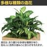 ベルク フェイクグリーン グリーンスタンド スタッキングプランター BOXプランター ナチュラル 人工 造花 GR2550 幅500×奥行500×高さ700mm-5