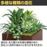 ベルク フェイクグリーン グリーンスタンド スタッキングプランター BOXプランター セピア 人工 造花 GR2552 幅500×奥行500×高さ700mm-5