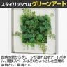 ベルク ウォールグリーン アートグリーン フェイクグリーン 壁掛け 立体グリーン 人工 造花 GR3436 幅400×奥行67×高さ400mm-2