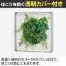 ベルク ウォールグリーン アートグリーン フェイクグリーン 壁掛け 立体グリーン 人工 造花 GR3437 幅400×奥行67×高さ400mm-3