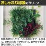 ベルク ウォールグリーン アートグリーン フェイクグリーン 壁掛け 立体グリーン 人工 造花 GR3712 幅400×奥行67×高さ400mm-1