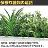 ベルク ウォールグリーン フェイクグリーン 壁掛け 卓上ポット ラインタイプ アイボリー 人工 造花 GR4340 幅610×奥行200×高さ200mm-6