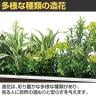 ベルク ウォールグリーン フェイクグリーン 壁掛け 卓上ポット ラインタイプ セピア 人工 造花 GR4343 幅910×奥行200×高さ200mm-6