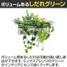 ベルク フェイクグリーン ウォールグリーン マグネットグリーン ポットタイプW300 人工 造花 GR4491 幅380×奥行200×高さ400mm-7