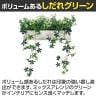 ベルク フェイクグリーン ウォールグリーン マグネットグリーン ポットタイプW300 人工 造花 GR4492 幅380×奥行200×高さ400mm-7